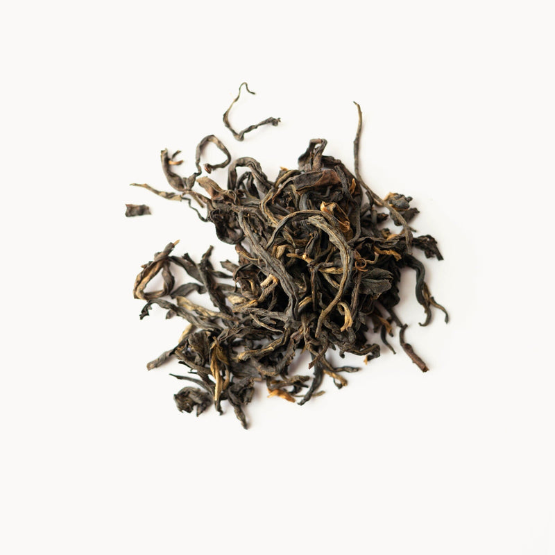 Loose black tea leaves from Rishi Tea & Botanicals on a white background evoke the rich aroma of a tea forest, with subtle hints of whisky notes intertwined.