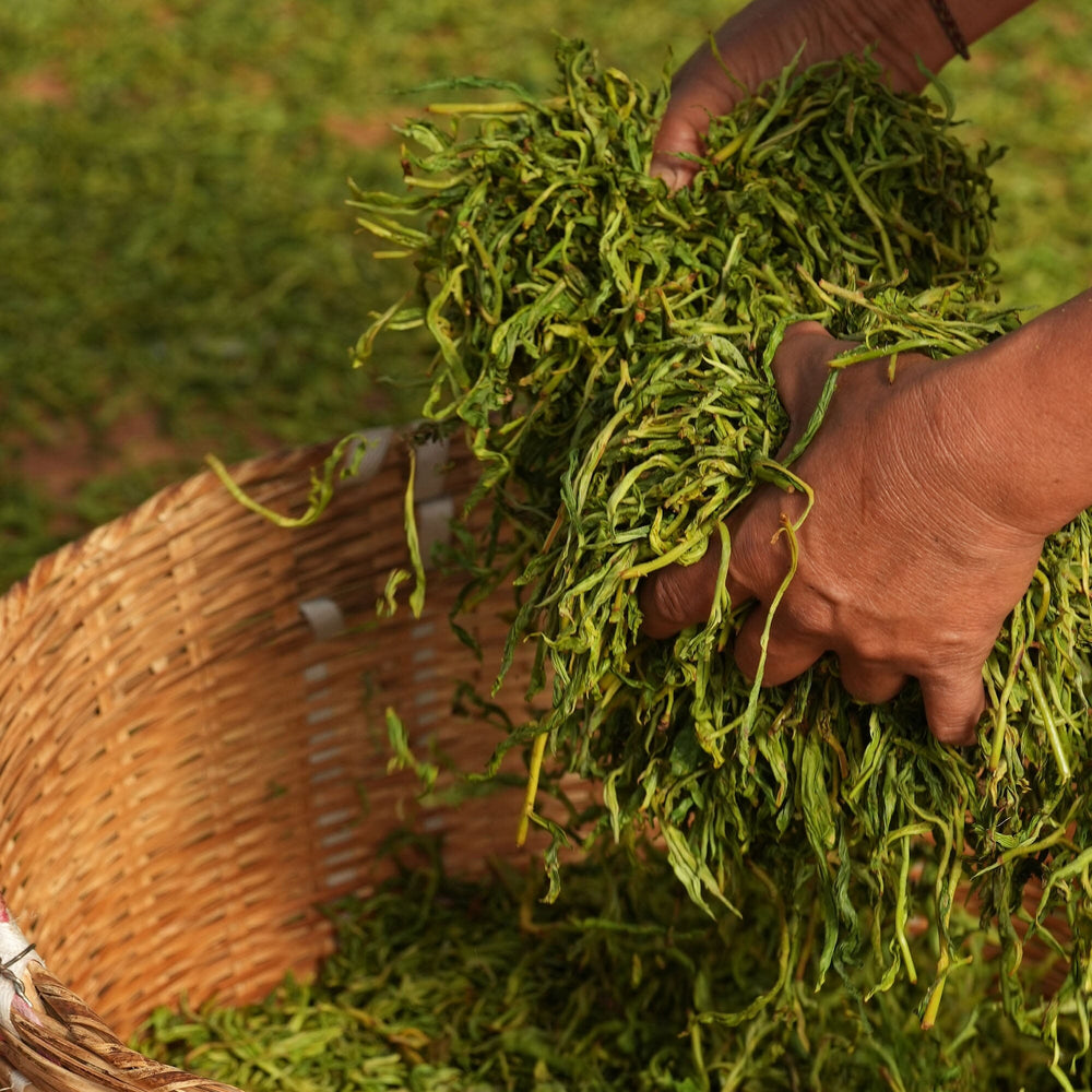 Gongnong Shaiqing Premium 2024 Vintage