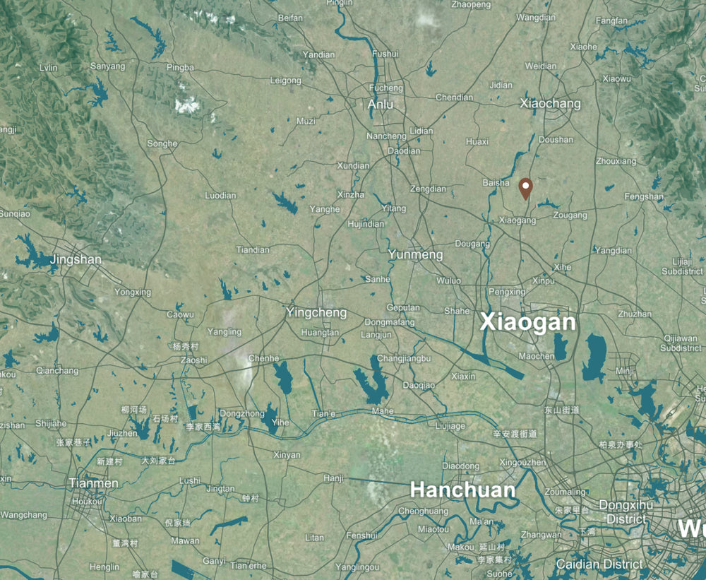 Xuan En background map mobile