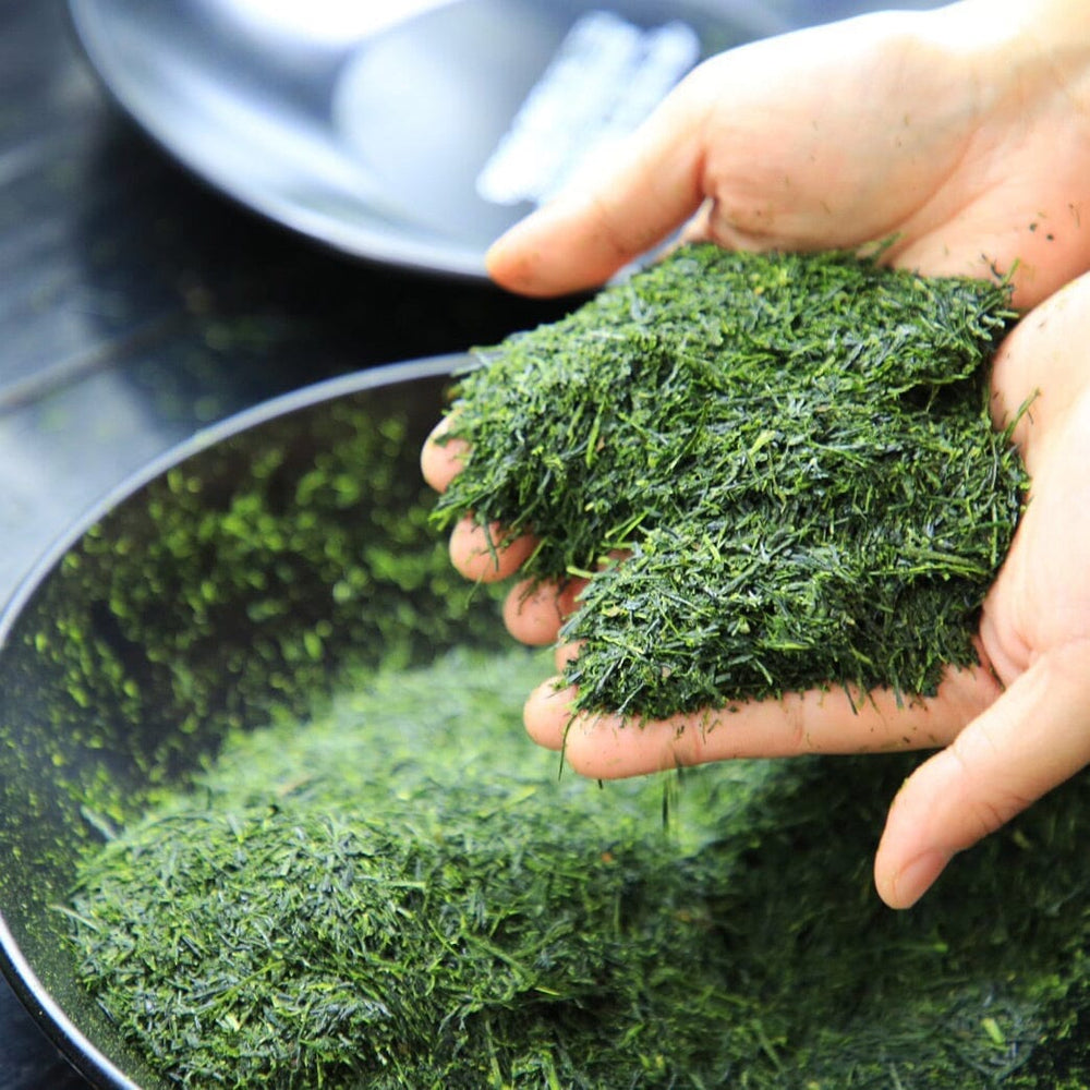 Nishi Sencha First Flush