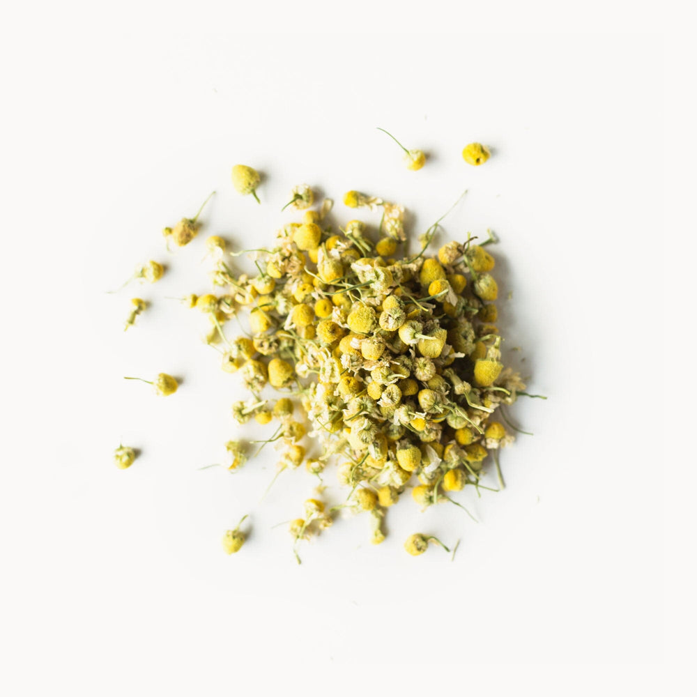 Golden Chamomile Blossoms