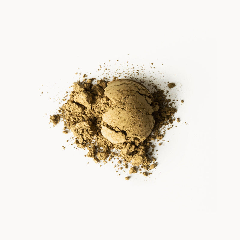 A Houjicha Powder on a white background by Rishi Tea & Botanicals.